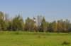 photo13_small.jpg