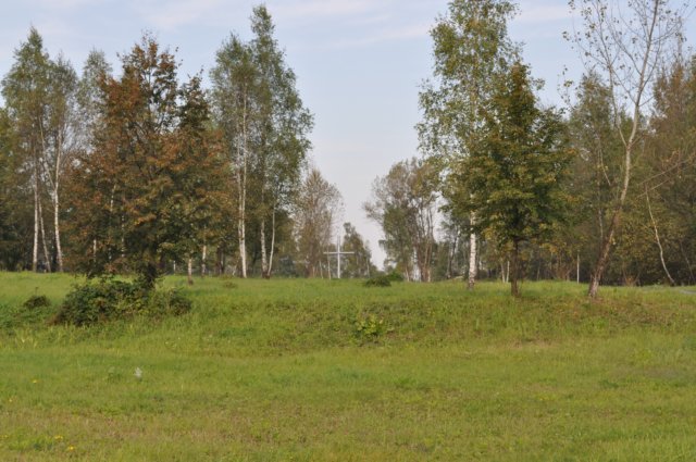 photo34.jpg