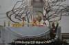 dsc_0042_small.jpg