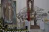 dsc_0010_small.jpg