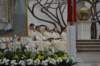 dsc_0012_small.jpg