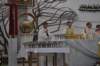 dsc_0014_small.jpg
